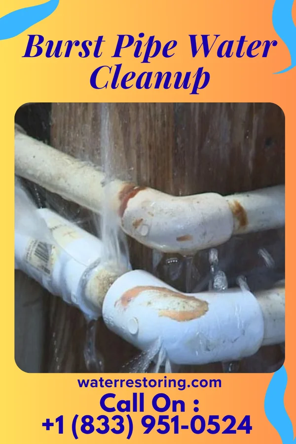 Burst Pipe Water Cleanup in White Meadow Lake, NJ