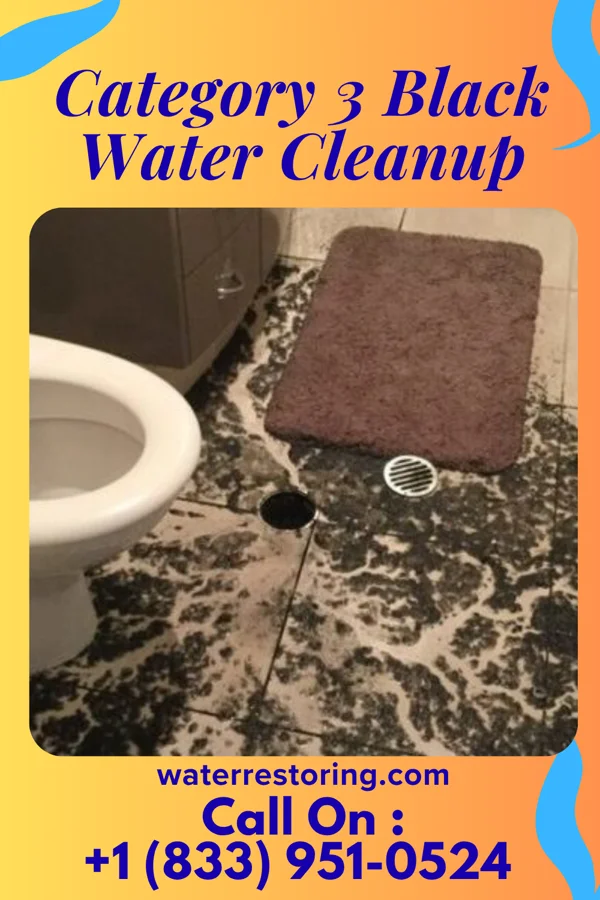 Category 3 Black Water Cleanup in White Meadow Lake, NJ