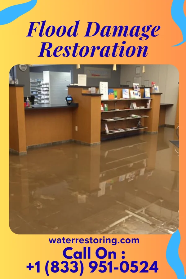 Flood Damage Restoration in White Meadow Lake, NJ