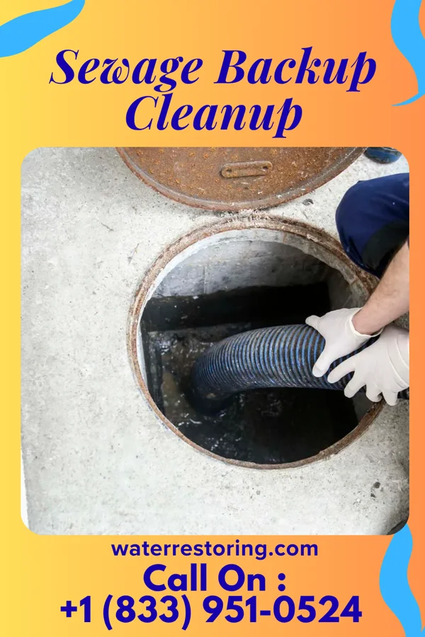Sewage Backup Cleanup in White Meadow Lake, NJ