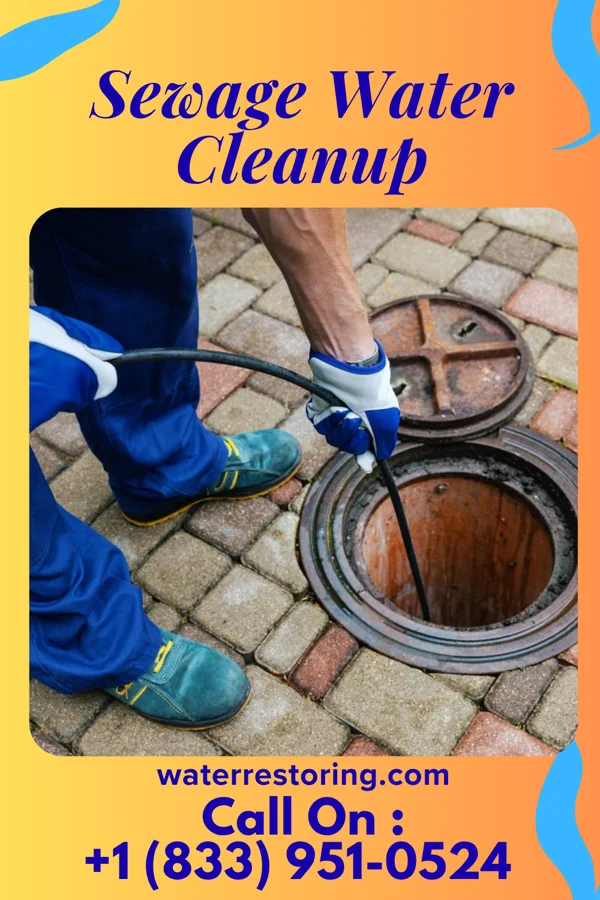 Sewage Water Cleanup in White Meadow Lake, NJ